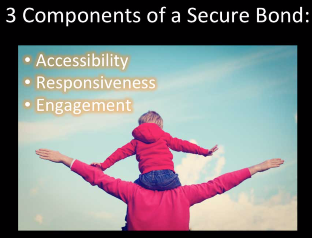 components of a secure attachment bond